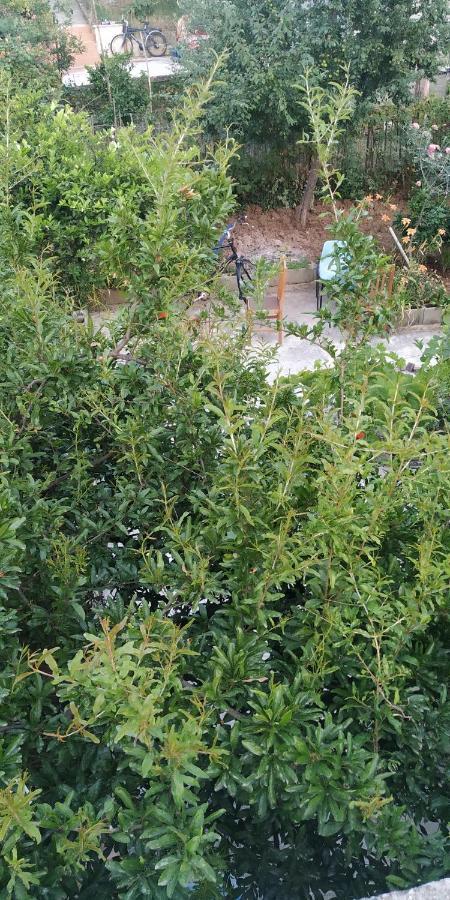 הוילה טיראנה Spacious House With A Big Garden And Fire Pit מראה חיצוני תמונה